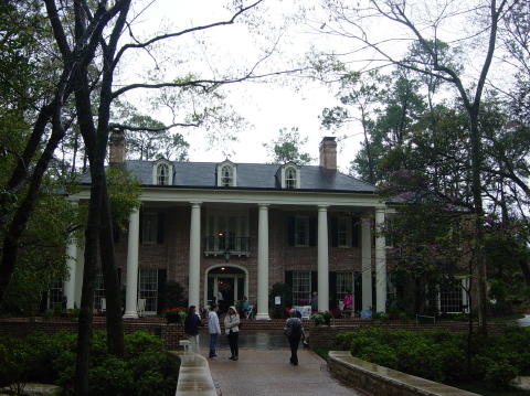 Azalea trail 010