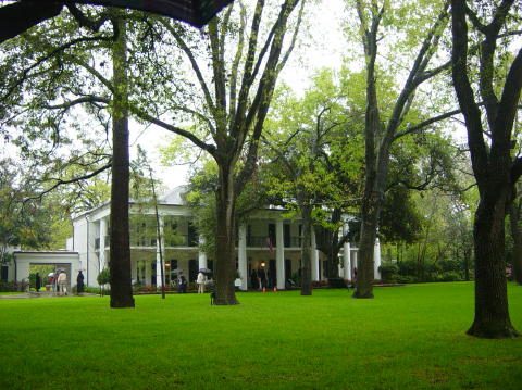 Azalea trail 026