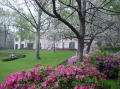 Azalea trail 019