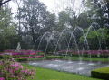 Azalea trail 021