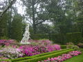 Azalea trail 023