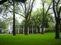 Azalea trail 026