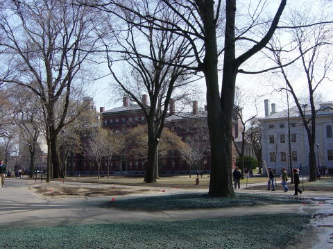 Harvard 1