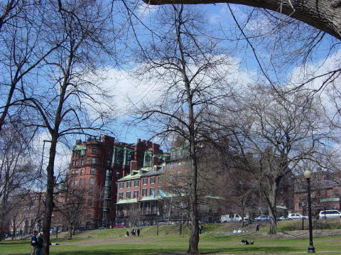 Boston Common 1