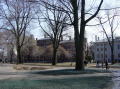 Harvard 1