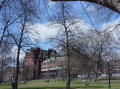 Boston Common 1