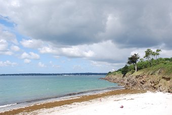 DSC_0194.JPG