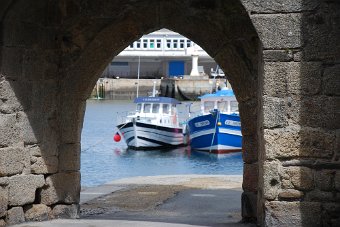 DSC_0207.JPG