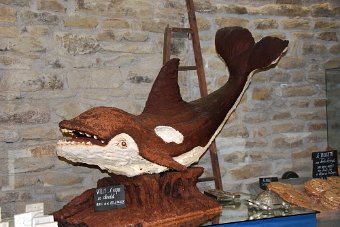 DSC_0209.JPG