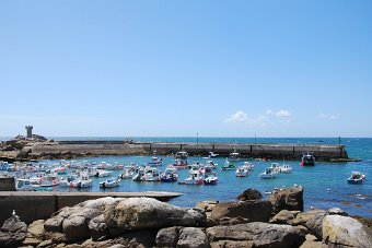 DSC_0217.JPG