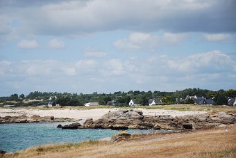 DSC_0218.JPG