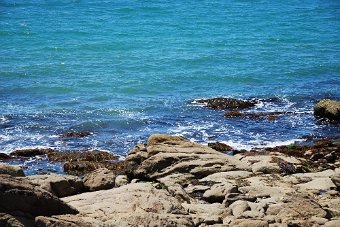 DSC_0220.JPG