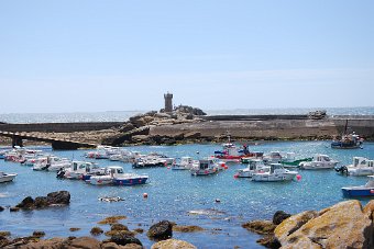 DSC_0221.JPG