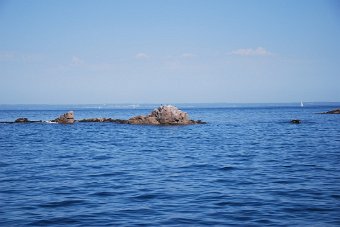 AA5EF73E-5193-4F82-9BB8-656DA0D6E18A_1_105_c.jpeg
