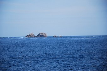 1AA69EBC-DB9E-4705-A84A-CBEB44AC0284_1_105_c.jpeg