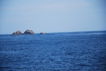 7138E6C6-2F19-49F3-9AEF-745D0C5996A5_1_105_c.jpeg