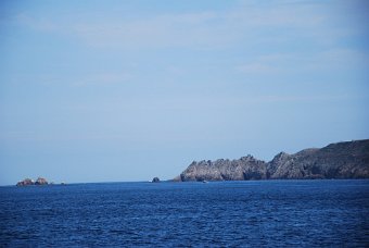 B520E6E5-5531-4F2D-BDF6-823D57038B56_1_105_c.jpeg