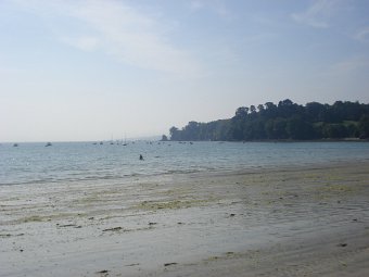 DSC01129.JPG