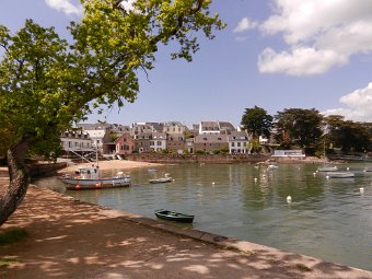 DSCN1006.JPG