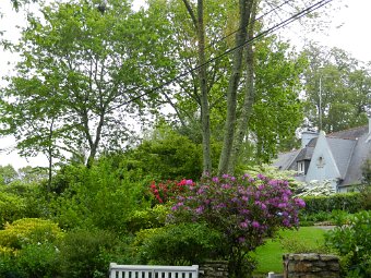 DSCN1035.JPG
