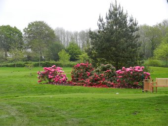 DSCN1040.JPG