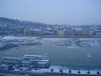 DSC01539.JPG
