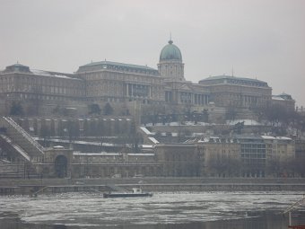 DSC01544.JPG