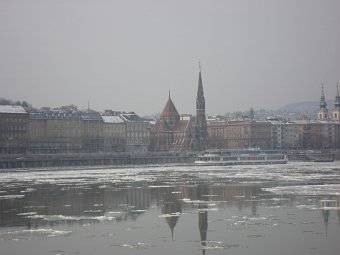 DSC01556.JPG