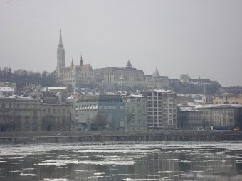 DSC01557.JPG