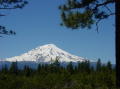 Mount Shasta 2