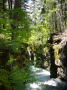 Rogue Gorge 4
