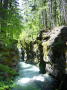 Rogue Gorge 6