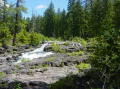 Rogue Gorge 8