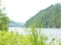 Umpqua river 3