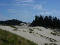 Oregon Dunes 3