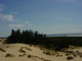 Oregon Dunes 4