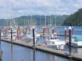 Coos Bay 1