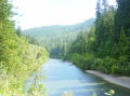Redwood Natl Park 10