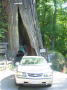 Redwood Natl Park 12