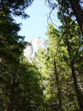 Bridalveil 3 (Yosemite)