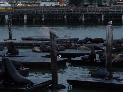 Fisherman's Wharf 1 (San Francisco)