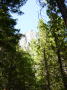 Bridalveil 3 (Yosemite)
