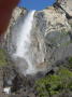 Bridalveil 5 (Yosemite)