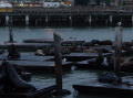 Fisherman's Wharf 1 (San Francisco)