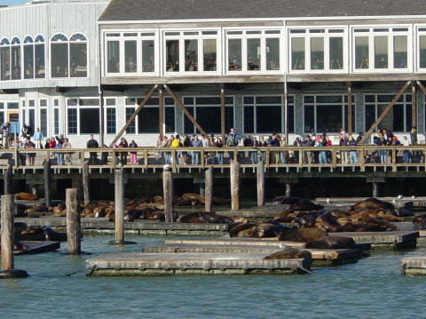 Fisherman's Wharf 4 (San Francisco)