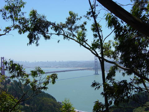 Golden gate2