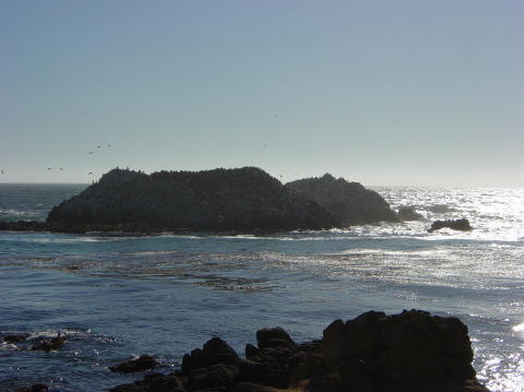 Pebble beach4
