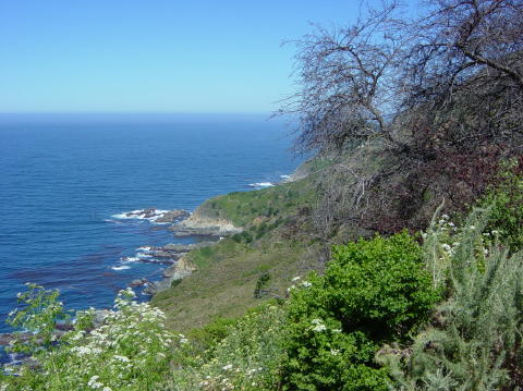 Big Sur2