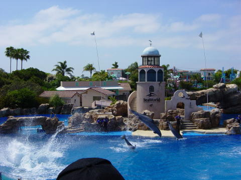 Seaworld San Diego 1