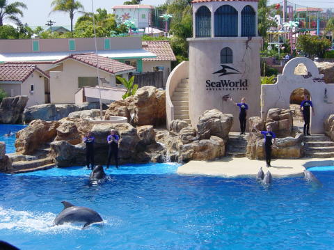 Seaworld San Diego 2